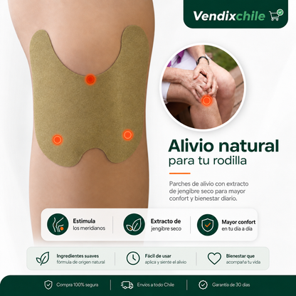 Parche de Alivio Muscular Pro